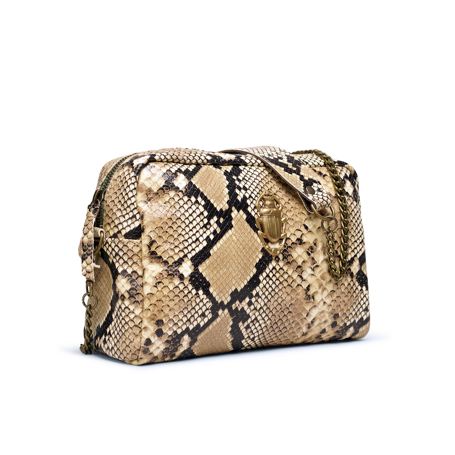 Big Pep'S - Natural Python